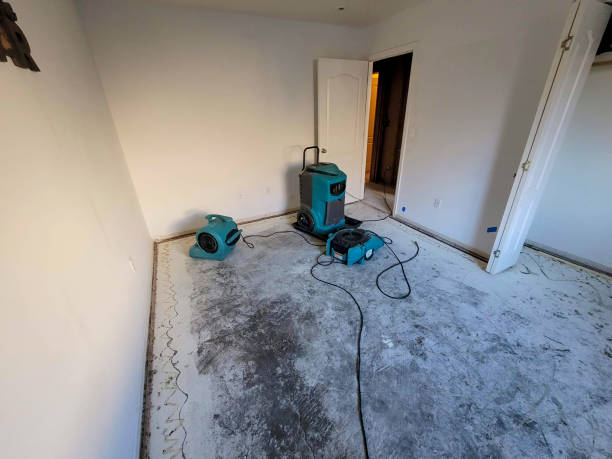 Best Flood damage cleanup  in Terrell Hills, TX