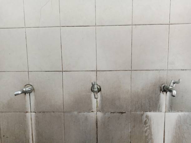 Best Water damage cleanup near me  in Terrell Hills, TX