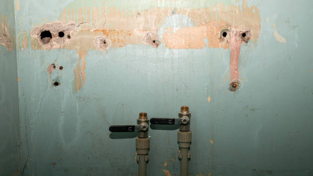 Best Water damage restoration near me  in Terrell Hills, TX