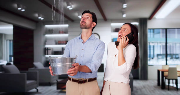 Best Water damage contractors near me  in Terrell Hills, TX